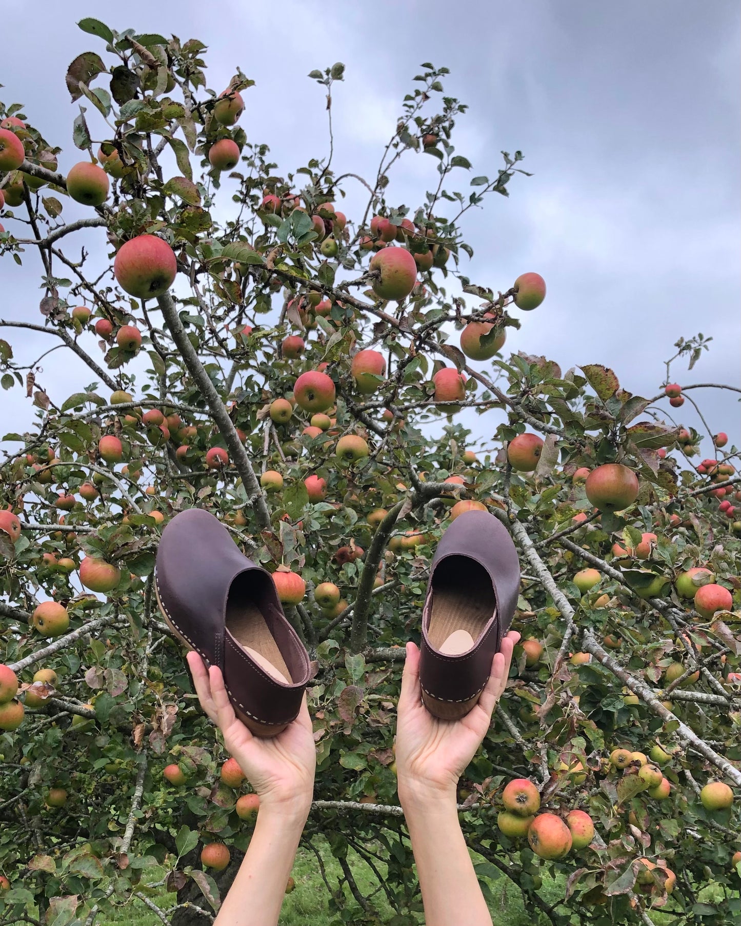 Cacao Low Jord Clog